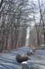 Tree Lined Slate Heritage Trail