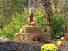 A Scarecrow Welcomes Visitors at The Gathering